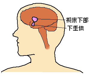 kasuitai.gif